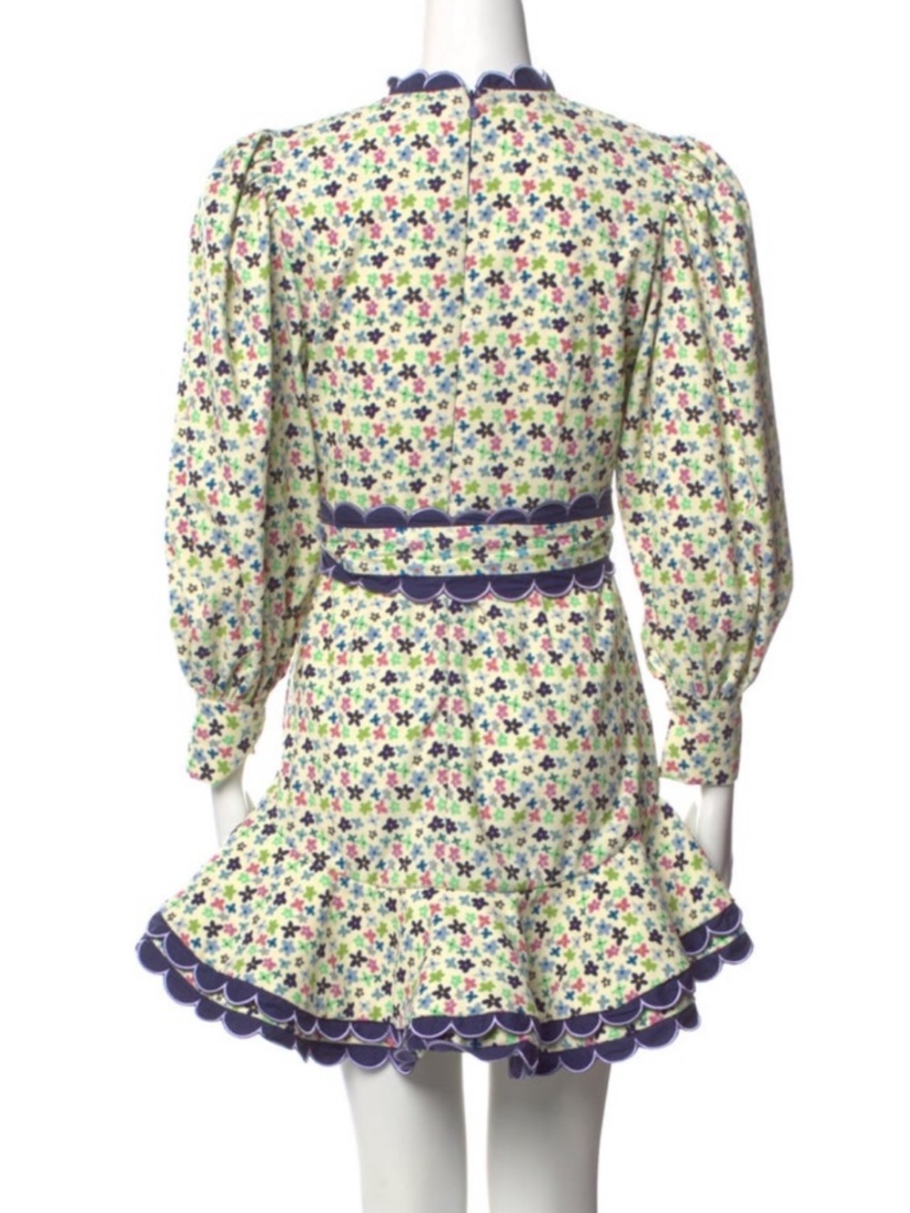 Celia B Adler Floral Print Mini Dress in Purple & Green
